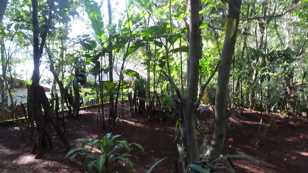Panambi Lodge B&B Пуэрто-Игуасу Экстерьер фото