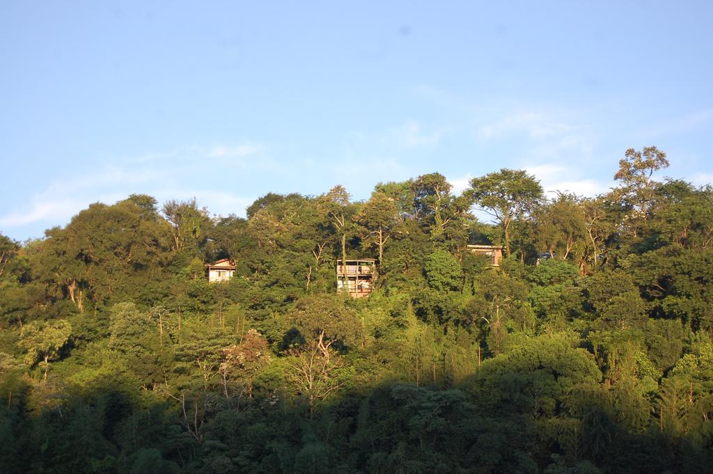 Panambi Lodge B&B Пуэрто-Игуасу Экстерьер фото